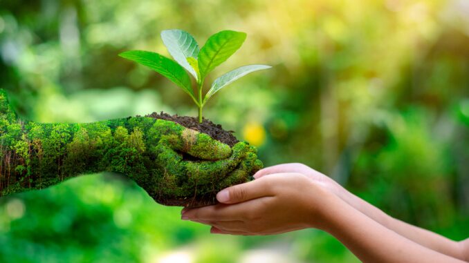 environment-earth-day-in-the-hands-of-trees-growing-seedlings-min