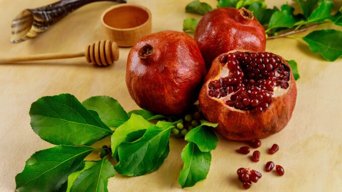 pomegranate-and-honey-for-rosh-hashanah-with-horn-min